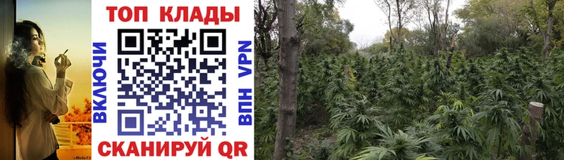 Как найти наркотики Энем mega как войти Канабис COCAIN Мефедрон ГАШ СК