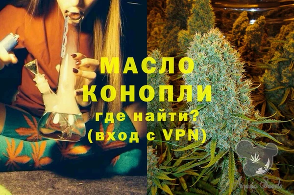 дмт Няндома