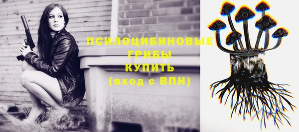 дмт Няндома